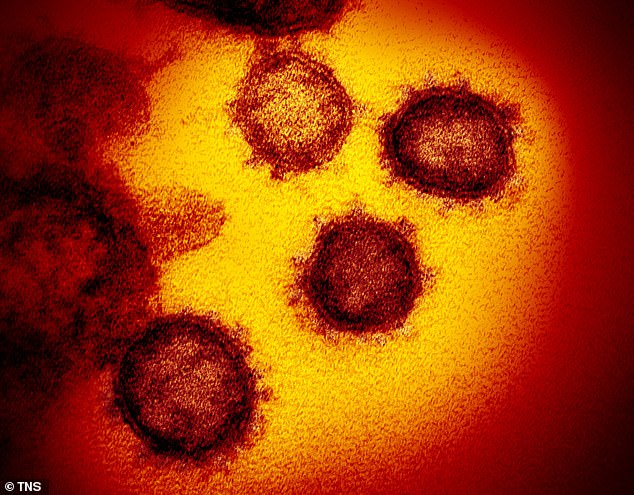 Studimi me një lajm të hidhur për antitrupat ndaj koronavirusit
