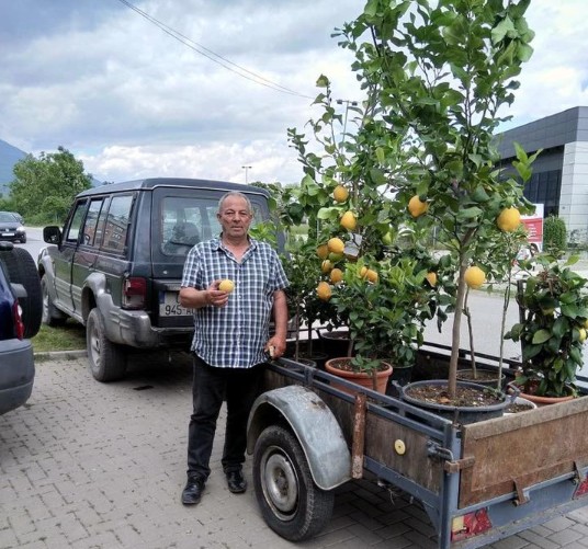 Ramiz Dabiqaj është viktima që ndërroj jetë në aksidentin në fshatin Baballoq të Deçanit