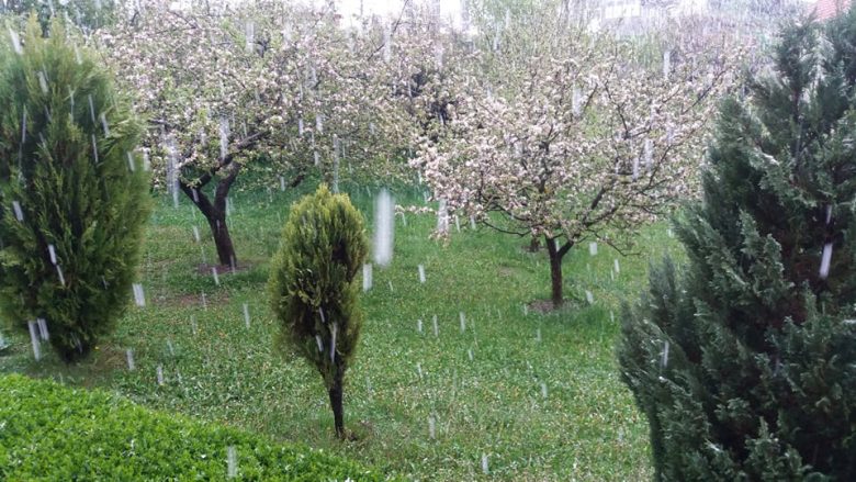 Përfundojnë ditët me diell, ja kur do të bie borë në vendin tonë