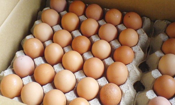 Shoqata e Prodhuesve të Vezëve iu bën apel qytetarëve të kenë kujdes, thotë se në treg ka vezë me sëmundje