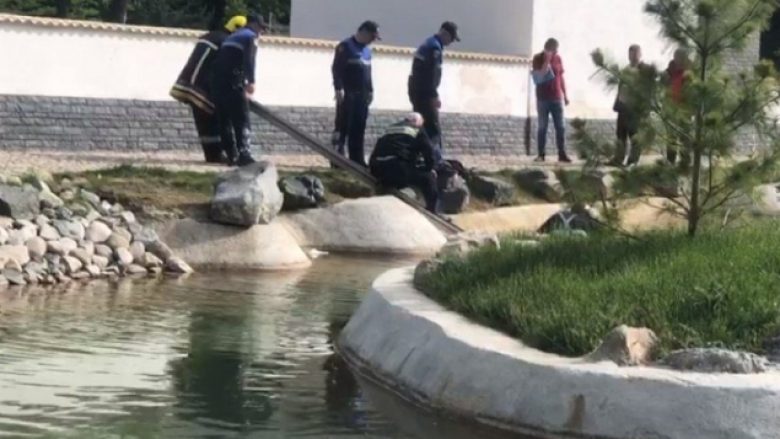 Një fëmijë vdes tragjikisht në liqenin artificial në Korçë