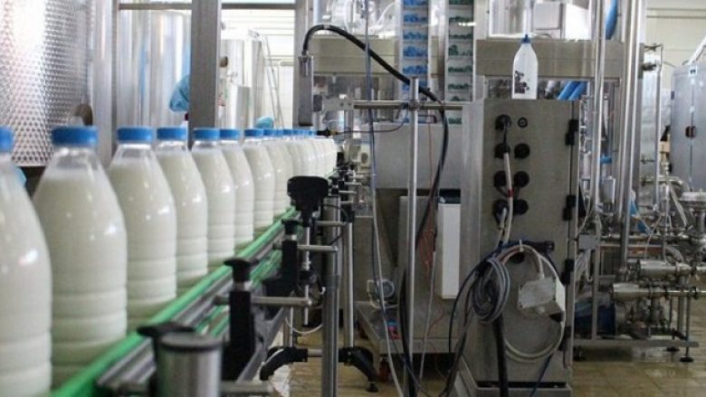 Fermerët e derdhin qumështin në kanalizim, fabrikat blejnë vaj palme