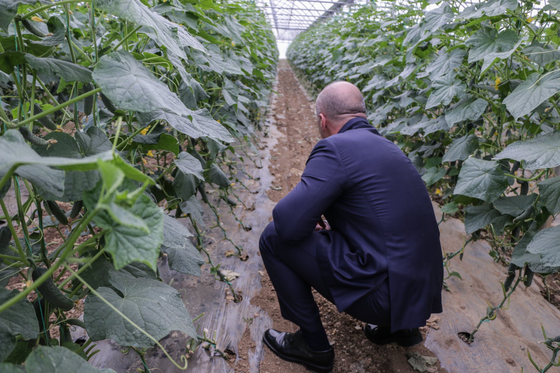 Haradinaj viziton fermerët në Therandë, thotë se qeveria duhet t’i përkrahë