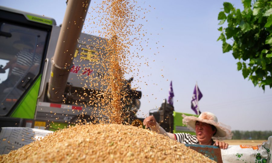 Rritja e çmimit të grurit, kryetari i mullisëve Muhamet Ferizi tregon nëse do të këtë krizë në Kosovë