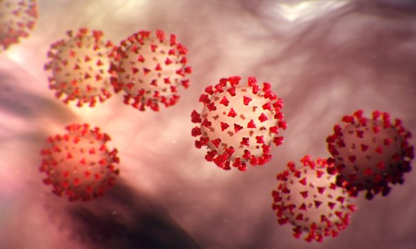 Habiten shkencëtarët: Qelizat e infektuara me Covid-19 krijojnë tentakula të mbushura me helm viral