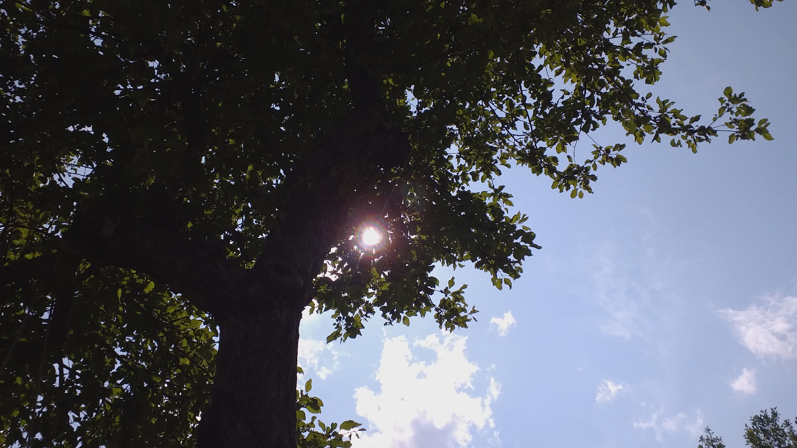 Sot vapën do ta krijojnë këto temperatura