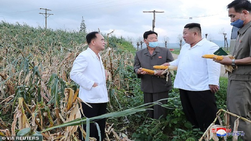 Kim Jong-un rikonfirmon edhe njëherë se është shëndoshë e mirë, shfaqet me kalli misri në duar… (FOTO)