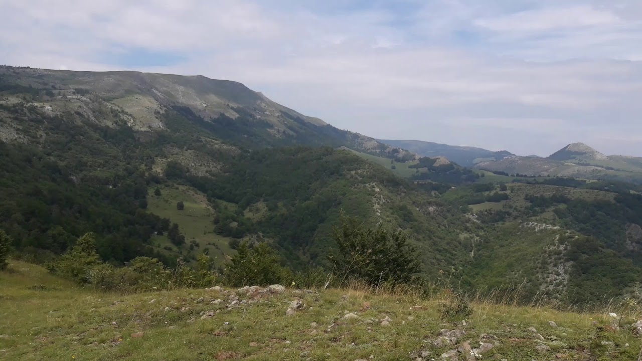 Një muaj paraburgim për katër personat, që gjuajtën me armë në Bjeshkët e Istogut