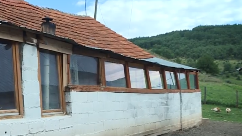 Familja 6-anëtarëshe jeton në shtallë të lopëve, s’kanë as bukë, as veshmbathje