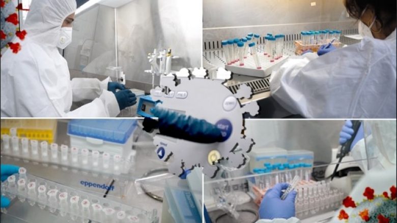 Këto janë heroinat e labratorit të IKSHP-së që po punojnë 24 orë në ditë