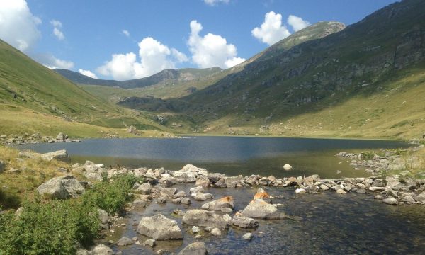 Dalin detajet e rastit tragjik, i riu u fut në liqen për t’u freskuar dhe nuk doli i gjallë nga aty