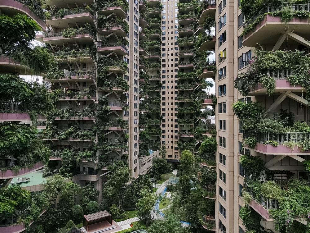 Këto ndërtesa të gjelbëruara ishin planifikuar për oaza, tani askush nuk dëshiron të jetoj në ato – “ngacmohen” nga mysafirët e paftuar