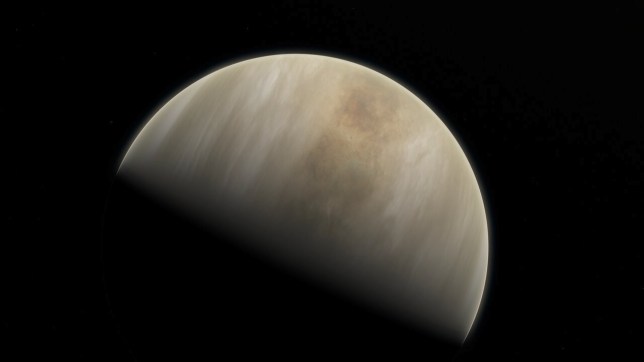 Shkencëtarët vërejnë shenja jete në planetin Venera