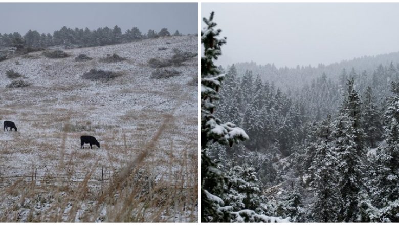 Mot me shi edhe borë sot në Kosovë