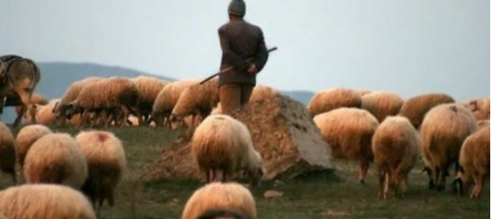 Çobani pedofil tentoi ta dhunojë një të mitur në Istog