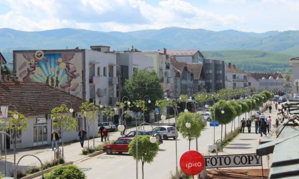 Dalin detaje të reja rreth rastit tragjik në familjen në Pozharan të Vitisë