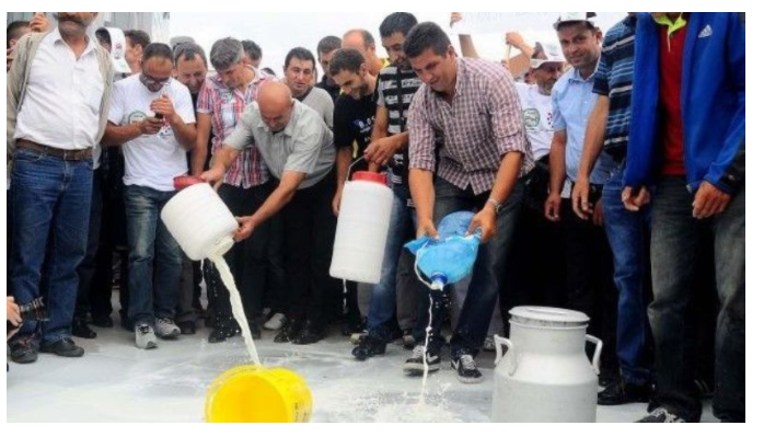 Qumështorët e Kosovës paralajmërojn protesta masive, do të dredhin qumështin para AVUK-ut
