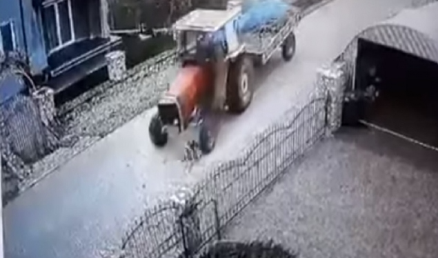 E tmerrshme, një person e shkel me traktor qenin qëllimisht