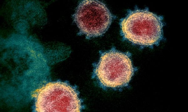 Studimi: Mutacionet e Covidit e bëjnë të pamundur arritjen e imunitetit të tufës përmes vaksinimeve