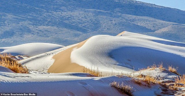 Fenomeni i pazakontë/ Borë në shkretëtirë, temperaturat zbresin deri në -3 gradë në Arabinë Saudite