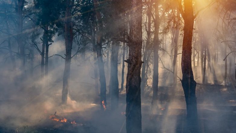 Shkencëtarët paralajmërojnë: Njerëzimi po vrapon drejt një të ardhme të tmerrshme që e ka nënvlerësuar