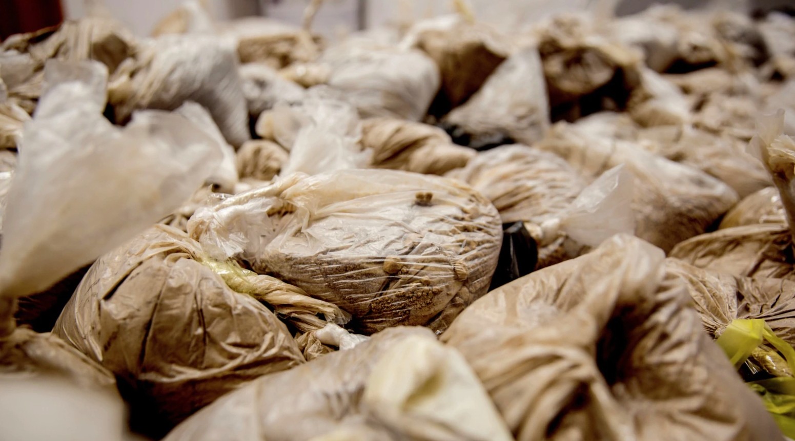 Bullgaria gjen 400 kilogramë drogë të transportuar nga Dubai