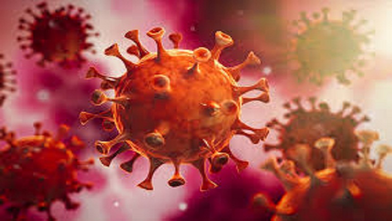 Vendi evropian që e ka mposhtuar koronavirusin
