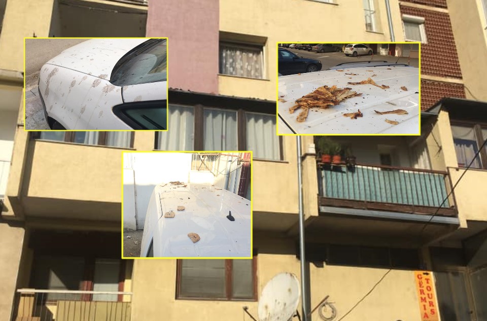 E pahijshme: Flia, buka, kafeja e çaji hidhen nga ballkoni i banesës në veturat e qytetarëve