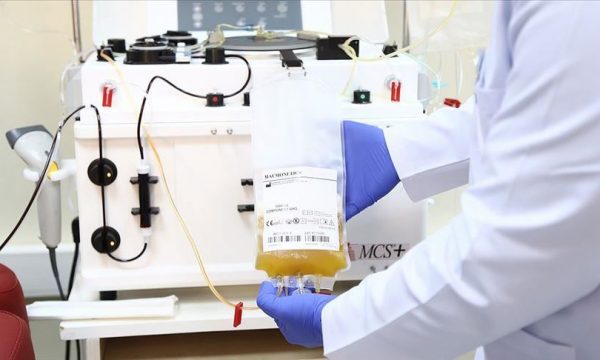 211 pacientë me koronavirus janë mjekuar me plazmë të gjakut