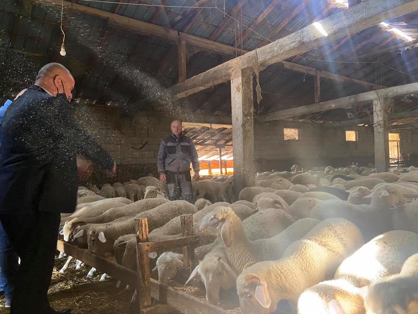 Latifi viziton disa blegtorë: Si pasojë e mbylljes nga pandemia qengjat po mbesin pa u shitur