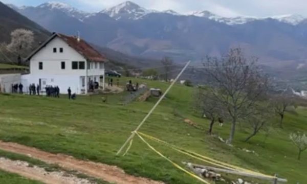 Krejt çka dihet deri më tani rreth vrasjes në Novosellë të Pejës