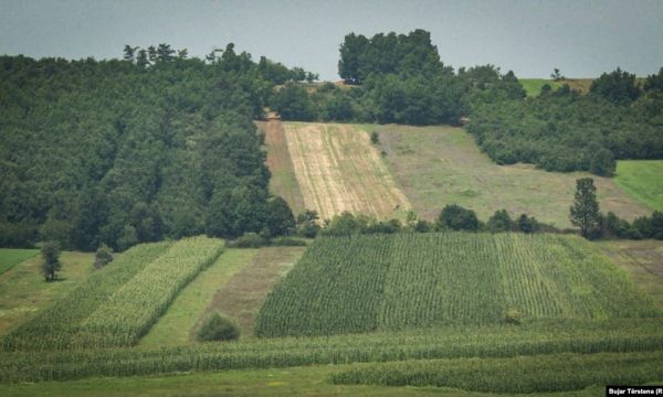 Procesi i privatizimit në Kosovë, cilët politikanë privatizuan prona dhe me çfarë çmimesh