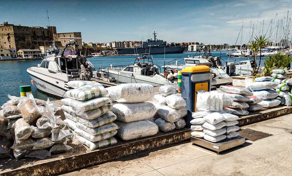 Policia shqiptare kap kanabis në vlerë prej katër milionë eurosh