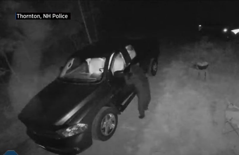 Kapet nga kamera momenti kur ariu hyn në një veturë (VIDEO)