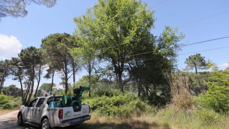 Bëhet dezinektimi i zonave të plazhit në Shqipëri