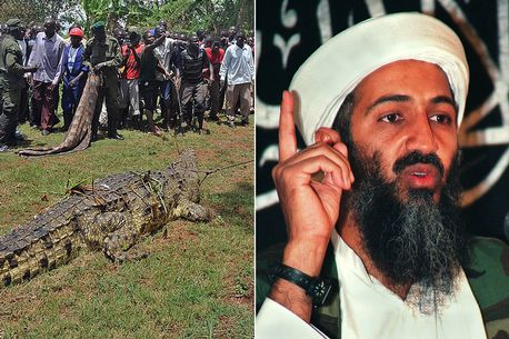 Krokodili i mbiquajtur ‘Bin Laden’ terrorizon fshatin ku ka ngrënë dhjetra banorë