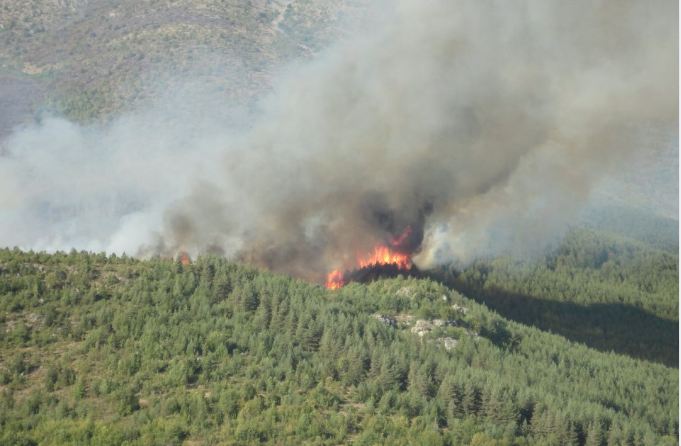 Thirrje për mbrojtje të pyjeve të Parqe Kombëtare nga zjarret
