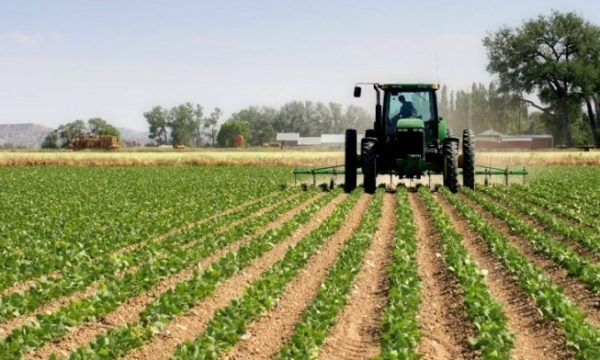 Subvencionet në bujqësi, Peci: Vlera e proceduar sot për pagesë është rreth 7 milionë euro