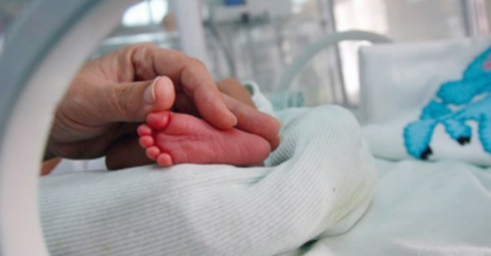 Lindi në banesë dhe vdiq në QKUK, drejtoresha e Neonatologjisë thotë se foshnja është pranuar në klinikë në gjendje të rëndë