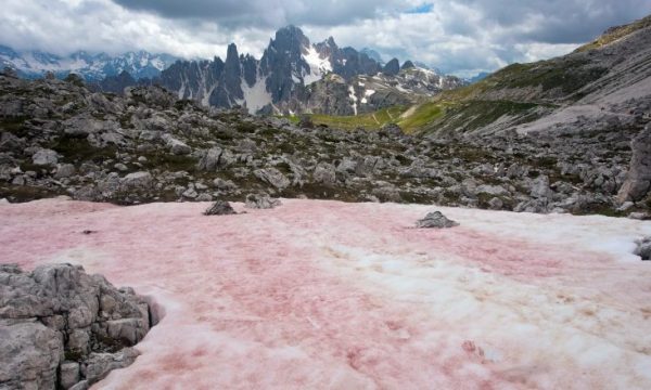 Fenomeni i rrallë, bie borë e kuqe në Alpet franceze