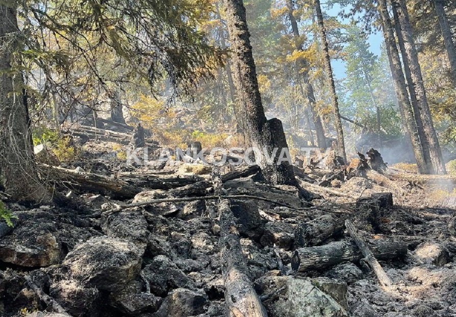 Zjarri kaplon një pjesë të malit të Rugovës (FOTO)