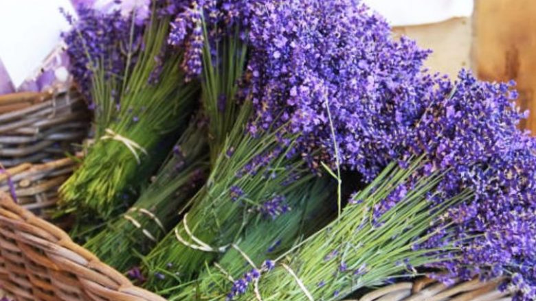 Bimët aromatike bëhen një biznes i mirë fitimprurës në Kosovë