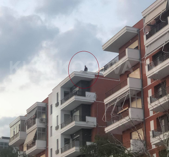 Policia shqiptare sipër ndërtesave përkujdeset për sigurinë e Goran Bregoviqit