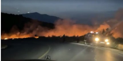 Zjarri përfshinë pyllin në rrugën Prizren – Dragash