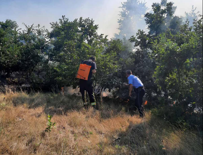 Arrestohet 51-vjeçari në Vushtrri, ndezi zjarrin që dogji 10 hektarë pyje