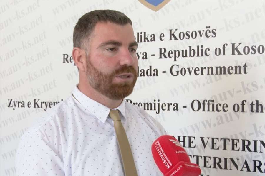 AUV-i ka vetëm 11 inspektorë për mbikëqyrje të masave, kërkon edhe 85 tjerë