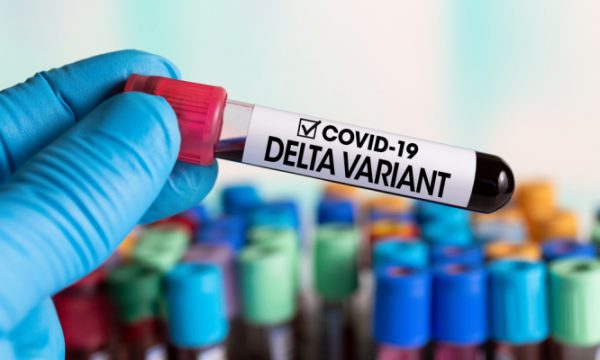 Varianti Delta përhapet me shpejtësi në SHBA, qytetarëve u kërkohet që të vaksinohen