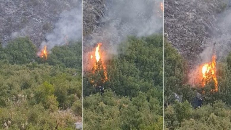 Vijnë nga Amerika për të shuar zjarret në Shqipëri