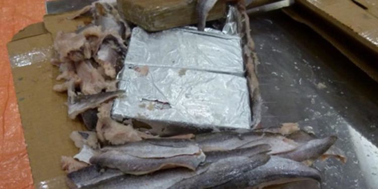 Policia ndalon një person, tentoi të kontrabandonte 100 kilogramë peshk nga Serbia