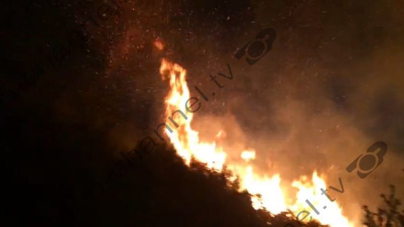 Berat, shpërthejnë flakët në malin Partizan